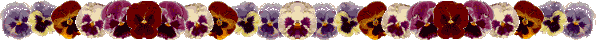 Blumen